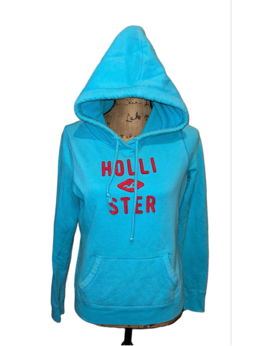 Y2K Women's Hollister Hoodie Sweatshirt Size M Blue Red Logo